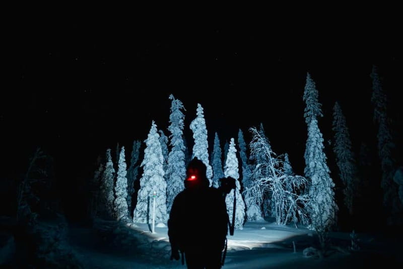Rovaniemi: Riisitunturi National Park Night Photography Tour - Discover Riisitunturi National Park after Dark