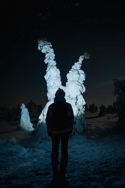 Rovaniemi: Riisitunturi National Park Night Photography Tour - Capture the Night Sky and Snowy Landscapes with Guidance