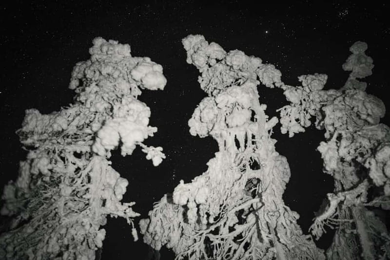 Rovaniemi: Riisitunturi National Park Night Photography Tour - Practicalities of the Night Tour from Rovaniemi