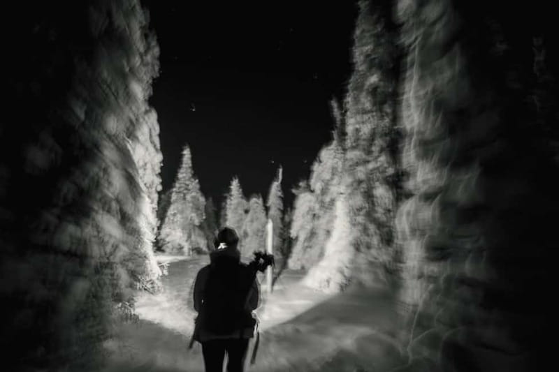 Rovaniemi: Riisitunturi National Park Night Photography Tour - The Experience Provider: Arctic Photo Experience