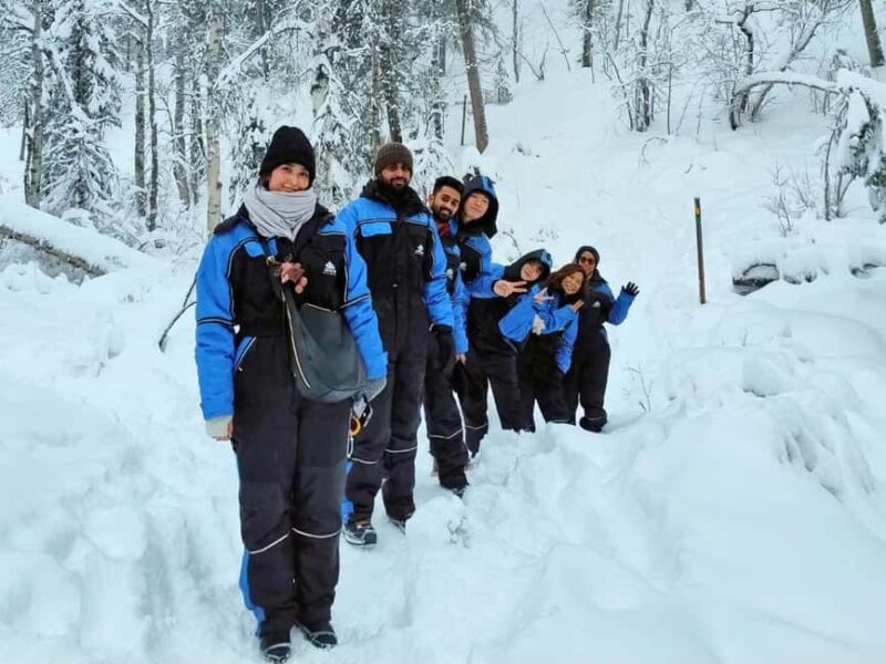 Rovaniemi: Riisitunturi Tykky Trees Wilderness Hike & BBQ - Practical Details for a Smooth Experience