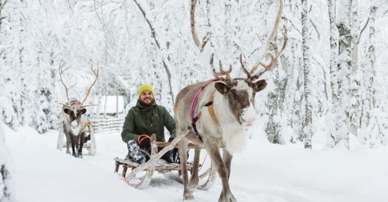 Rovaniemi: Saami Reindeer Farm Visit & Sleigh Ride - Key Points