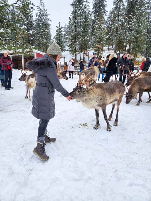 Rovaniemi: Saami Reindeer Farm Visit & Sleigh Ride - Warming Up with Hot Drinks and Cookies