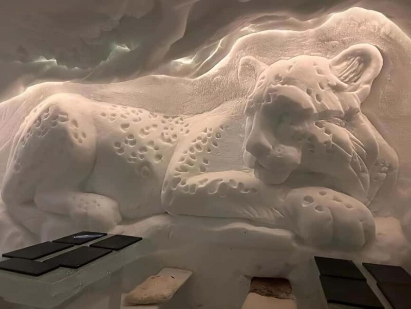 Rovaniemi: Santa Claus Village and Santa Park Day Trip - Free Time to Explore Santa Claus Village