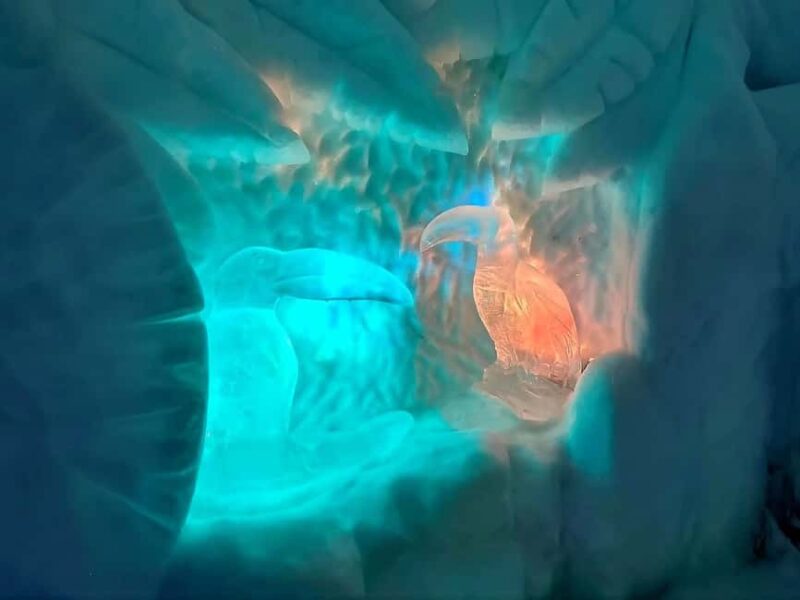 Rovaniemi: Santa Claus Village and Santa Park Day Trip - The Virtual Christmas Sleigh Ride and Photo Opportunities