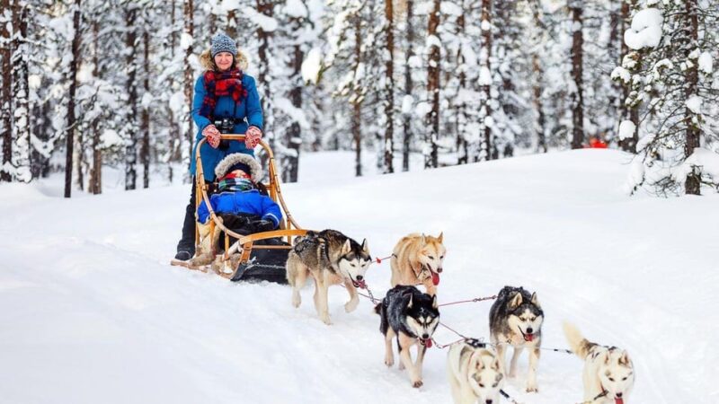 Rovaniemi: Santa Claus Village + Husky & Reindeer Sled Ride - Key Points