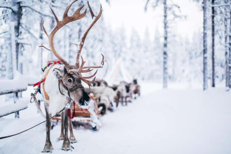 Rovaniemi: Santa Claus Village, Husky & Reindeer Tour - Details of the 6-Hour Itinerary in Rovaniemi
