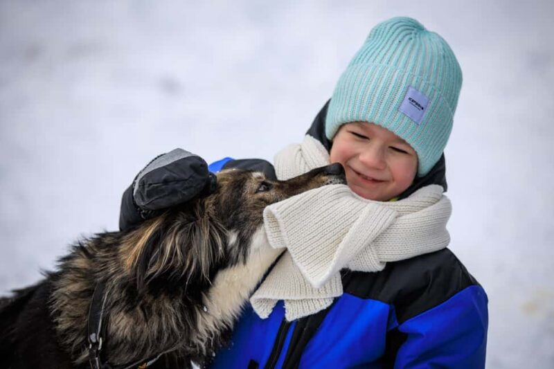 Rovaniemi: Santa Claus Village, Husky & Reindeer Tour - Logistics and Meeting Point Details in Rovaniemi