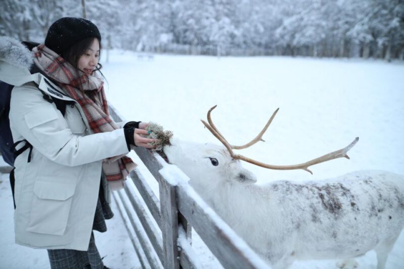 Rovaniemi: Santa Claus Village Tour Huskies & Reindeer Visit - Who Would Enjoy This Tour Most