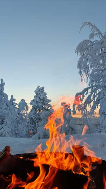 Rovaniemi Santa & Hidden Arctic Village, Lunch & Nature - Exploring Arctic Nature and Forest Walks