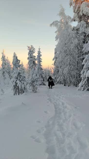 Rovaniemi Santa & Hidden Arctic Village, Lunch & Nature - About Lake Hut Safaris Oy