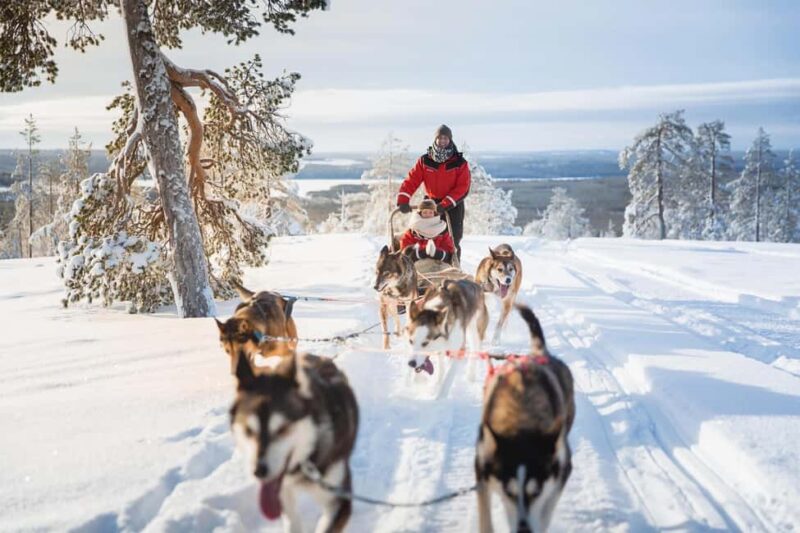 Rovaniemi: Santa Village, Snowman World & Husky Sledge Ride - Key Points