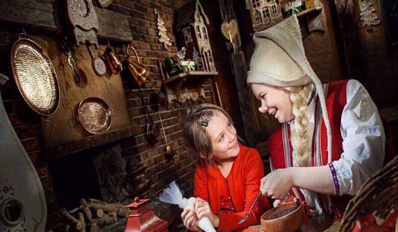 Rovaniemi: SantaPark and Santa Claus Village Day Tour - Exclusive Activities at SantaPark: Baking Lessons, Elf School, and Ice Bar