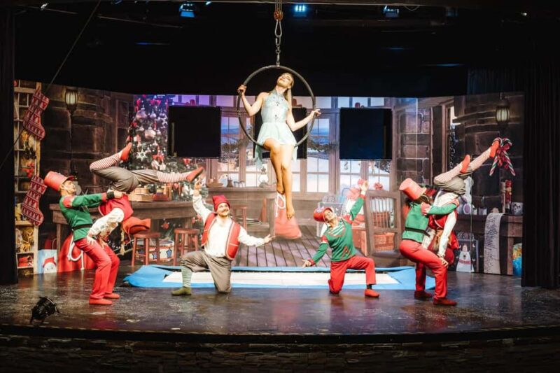 Rovaniemi: SantaPark Home Cavern of Santa Claus Experience - Key Points