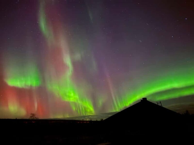 Rovaniemi: Santa's Reindeer and Husky Safari with Aurora BBQ - Practical Details and Logistics