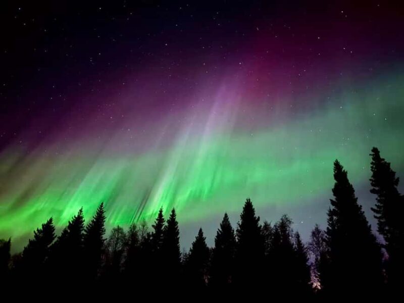 Rovaniemi: Santa's Reindeer and Husky Safari with Aurora BBQ - Comparing This Tour to Similar Experiences