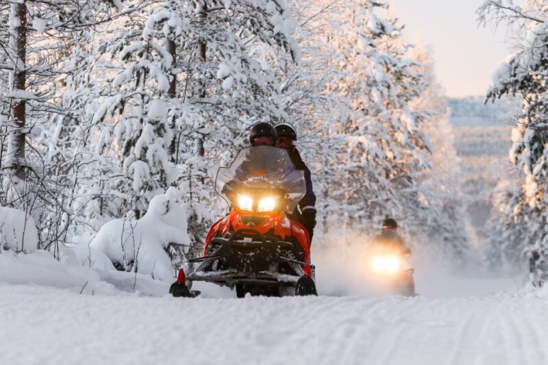 Rovaniemi: Santas Village & Snowmobiling to Reindeer Farm - Key Points