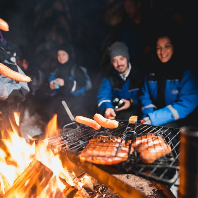 Rovaniemi: Search for Northern Lights Snowmobiling Trip - Starting Points and Pickup Logistics in Rovaniemi