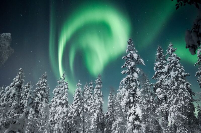 Rovaniemi: Search for Northern Lights Snowmobiling Trip - The Itinerary and Stops During the Tour