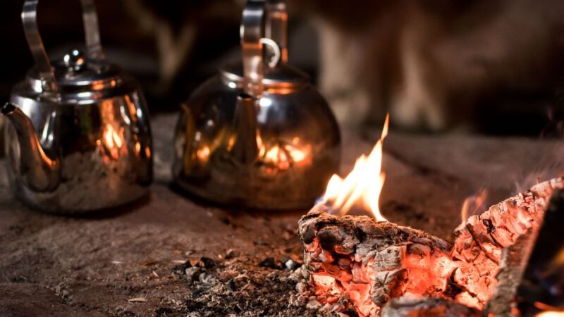 Rovaniemi: Search for Northern Lights Snowmobiling Trip - The Guides: Experienced and Supportive