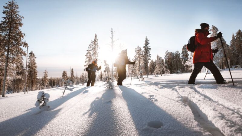 Rovaniemi: Ski Trekking Safari in Lapland - Rovaniemi: Ski Trekking Safari in Lapland