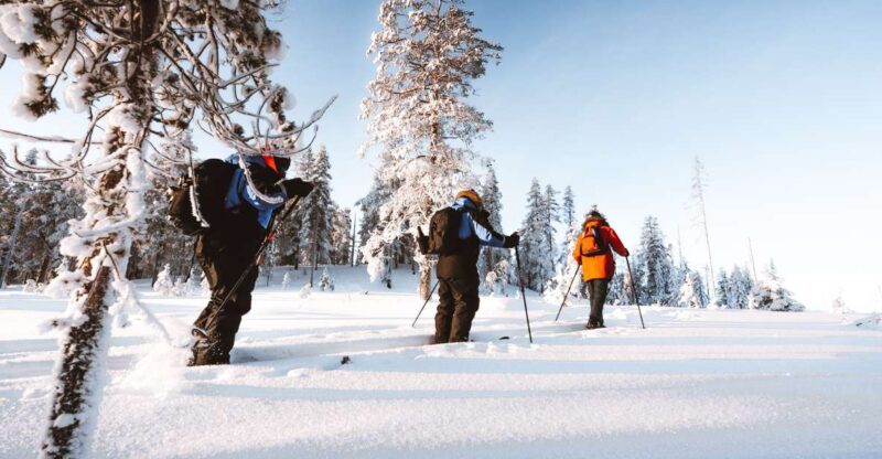 Rovaniemi: Ski Trekking Safari in Lapland - Suitability and Physical Requirements