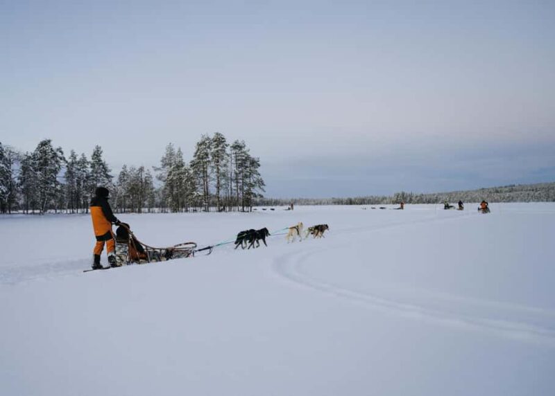 Rovaniemi: Small group Adults-Only 12-18km Husky Tour - Visiting the Modern Husky Kennel in Finland