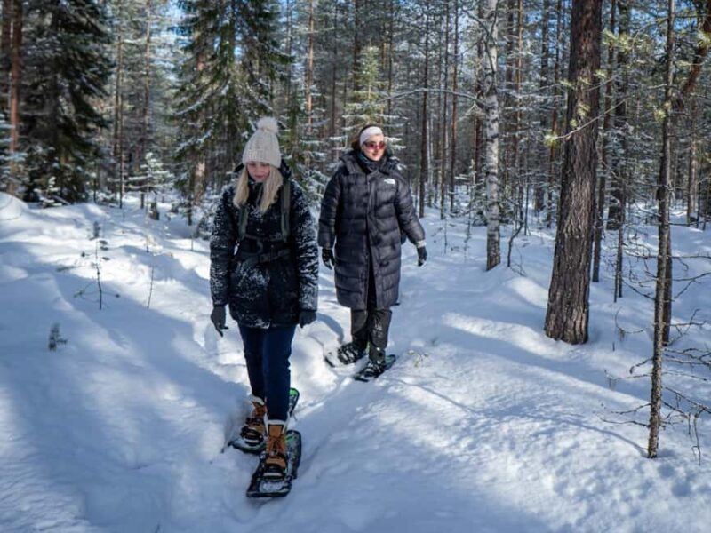 Rovaniemi: Small-Group Snowshoe Tour at Vikaköngäs & BBQ - Small Groups and Expert Guides