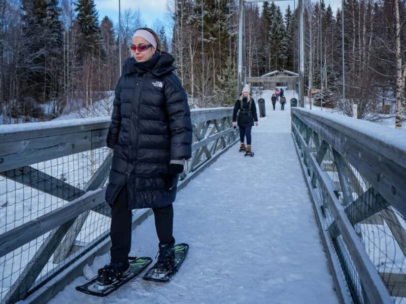 Rovaniemi: Small-Group Snowshoe Tour at Vikaköngäs & BBQ - What to Expect from the Itinerary