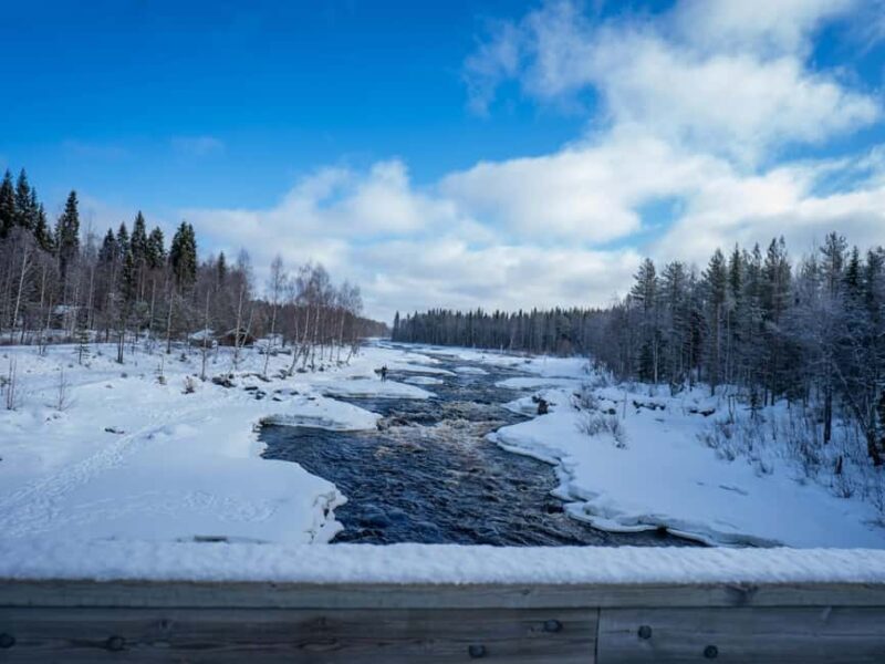 Rovaniemi: Small-Group Snowshoe Tour at Vikaköngäs & BBQ - Comparing This Tour to Similar Experiences