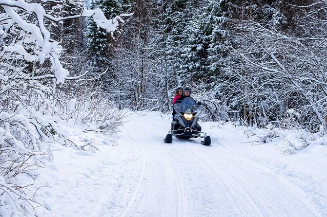 Rovaniemi Snowmobile Adventure & BBQ - 1Hour Drive, Small Group - Scenic Stops and Photo Opportunities in the Wilderness