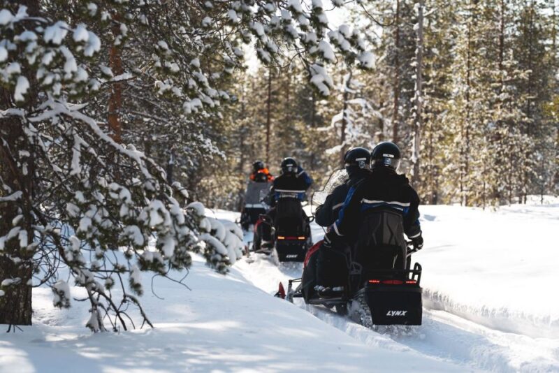 Rovaniemi: Snowmobile Adventure Tour for Adults Only - Rovaniemi: Snowmobile Adventure Tour for Adults Only