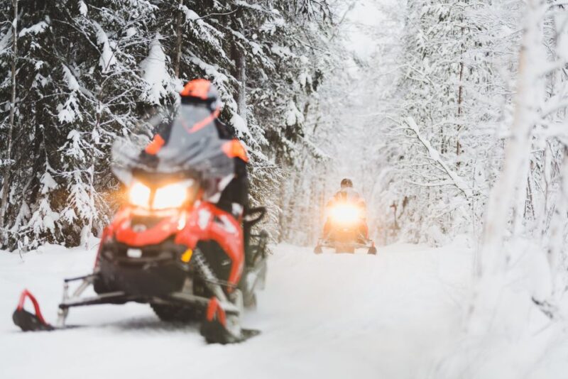 Rovaniemi: Snowmobile Adventure Tour for Adults Only - Key Points