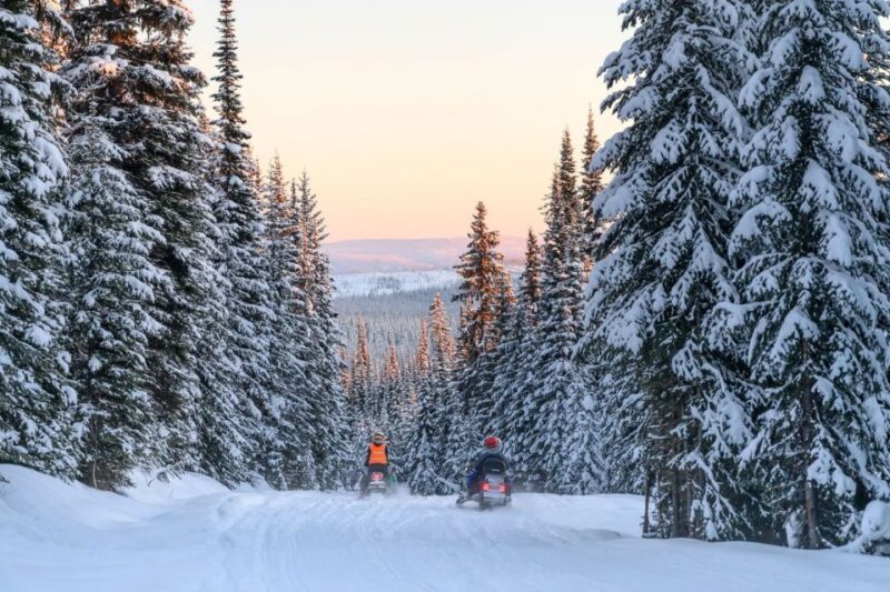 Rovaniemi: Snowmobile Safari Adventure - Accessibility and Practical Tips