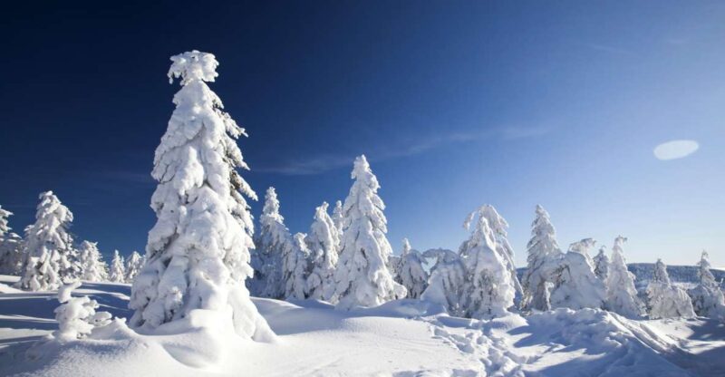 Rovaniemi: Snowmobile Safari Adventure - Rovaniemi: Snowmobile Safari Adventure — A Genuine Arctic Experience for Beginners