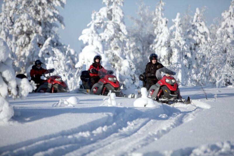 Rovaniemi: Snowmobile Safari Adventure - Key Points