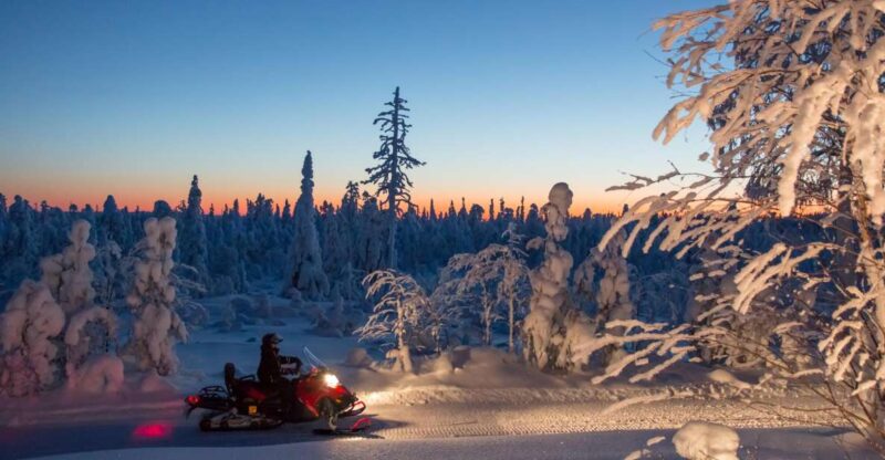 Rovaniemi: Snowmobile Safari & Campfire Evening Escape - Food and Beverages in the Arctic Wilderness