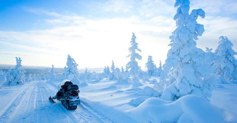 Rovaniemi: Snowmobile Safari in the Arctic Circle - The Snowmobile Route: Scenic Wilderness of Lapland