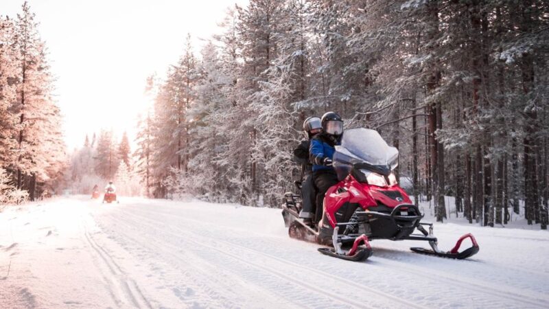 Rovaniemi: Snowmobile Safari into the Arctic Circle Forest - Key Points