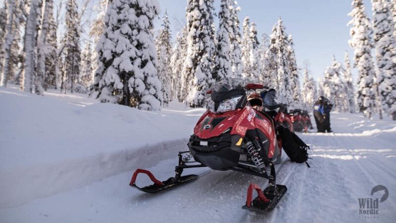 Rovaniemi: Snowmobile Safari into the Arctic Circle Forest - Rovaniemi Snowmobile Safari: Final Thoughts