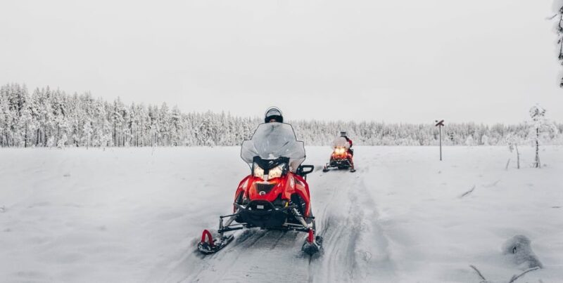 Rovaniemi: Snowmobile Safari into the Wilderness - Key Points