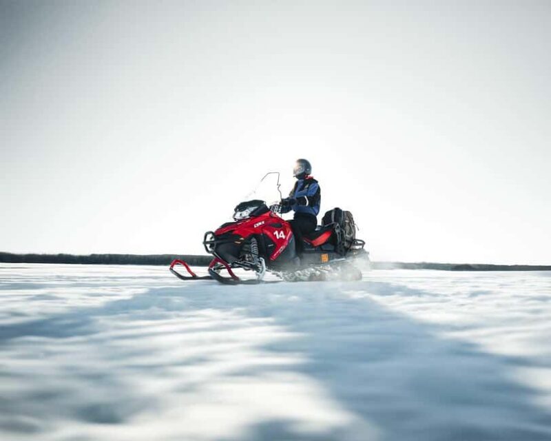 Rovaniemi: Snowmobile Safari into the Wilderness - Scenic Pine Forests and Frozen Marshlands