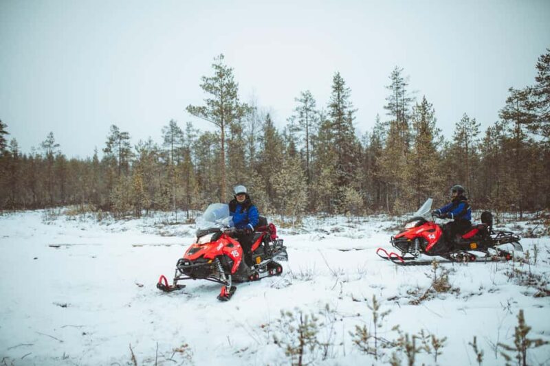 Rovaniemi: Snowmobile Safari into the Wilderness - Guides and Safety on the Snowmobile Safari