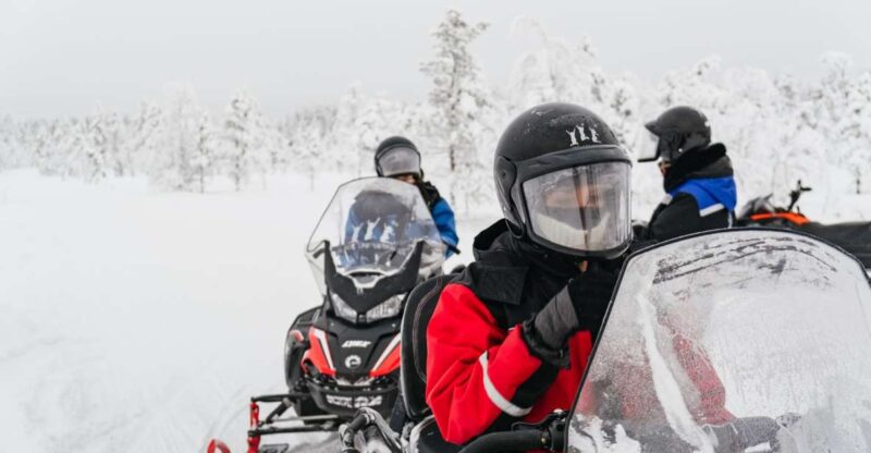Rovaniemi: Snowmobile Safari, Reindeer & Husky Sleigh Ride - Expert-Led Guided Commentary and Multilingual Options