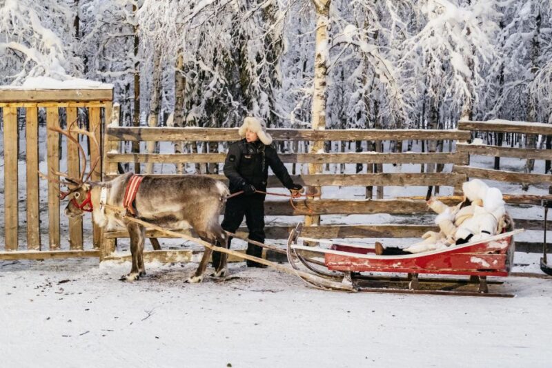 Rovaniemi: Snowmobile Safari, Reindeer & Husky Sleigh Ride - Scenic Spots and Photo Opportunities