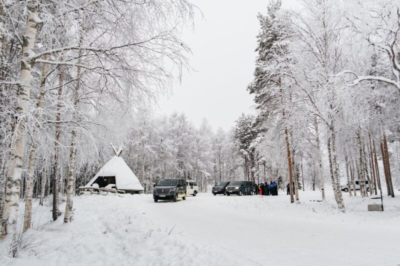 Rovaniemi: Snowmobile Safari, Reindeer & Husky Sleigh Ride - Who Should Consider This Tour