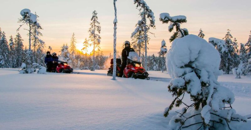 Rovaniemi: Snowmobile Safari to a Reindeer Farm - A Unique Arctic Adventure with Reindeer and Snowmobiles in Lapland