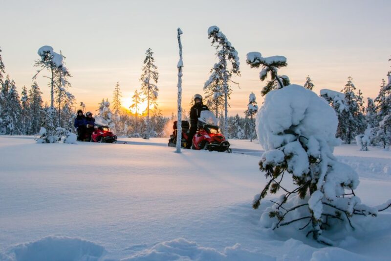Rovaniemi: Snowmobile Safari to a Reindeer Farm - Snowmobile Instructions and Safety in Arctic Conditions