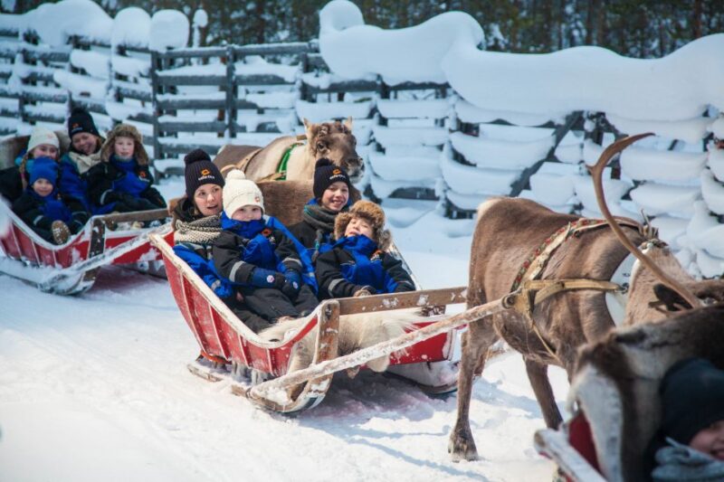 Rovaniemi: Snowmobile Safari to a Reindeer Farm - The Experience of Guided Snowmobile Tours in Lapland