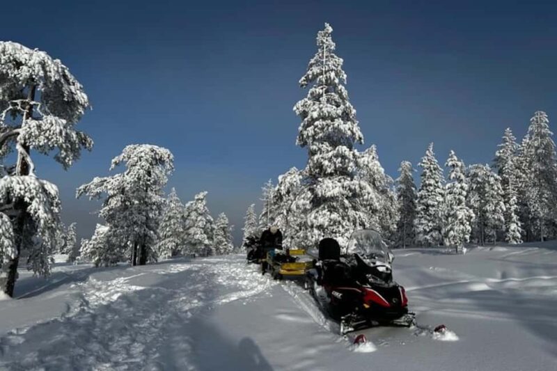 Rovaniemi: Snowmobile Safari to the Wilderness - The Experience Guide and Multilingual Support